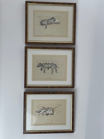 3 Hundebilder von Cecil Aldrin (1870-1935), Vintage-Druck, Reproduktion, 
signiert im Druck
