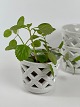 Gunnar Nylund for Rørstrand, set of three Swedish 
off-white chamotte herb pots