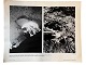 Originalt NASA farveoffsetfotografi fra Apollo 12 månelandingen i november 1969.